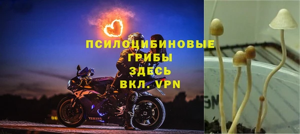 гидра Алзамай